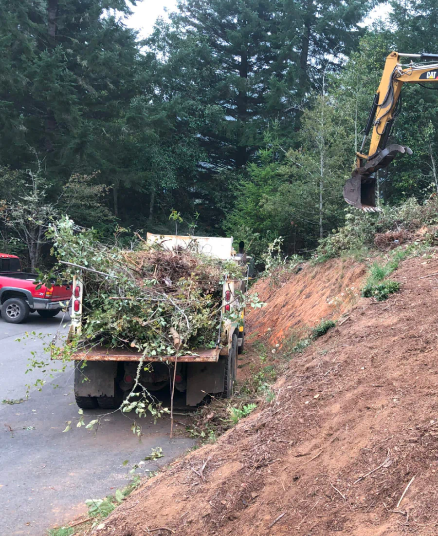 forestry mulching brookings or