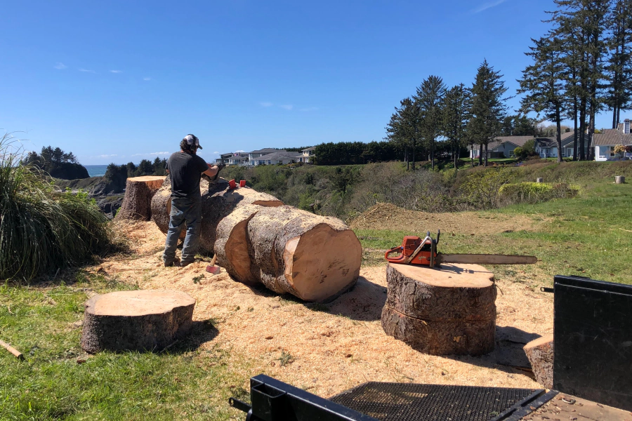 tree removal services brookings or tree removal services brookings or